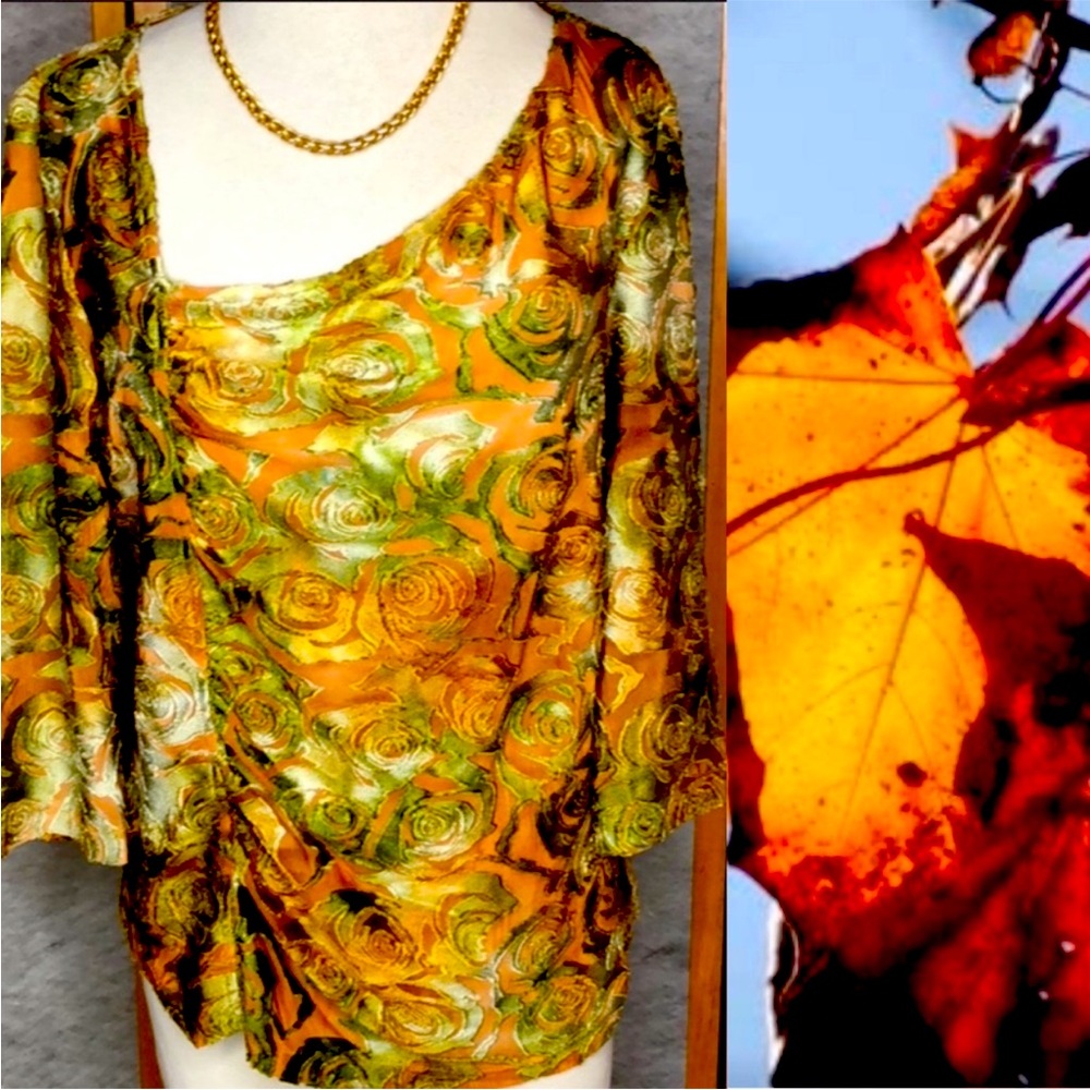 Tribal Velvet Burnout Blouse Sz L